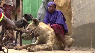 Nigerias hyena culture clashes with conservation [upl. by Harneen413]