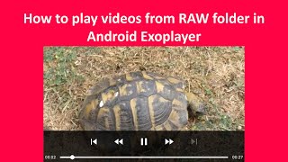 Android Exoplayer  How to play videos from RAW folder [upl. by Azeria]