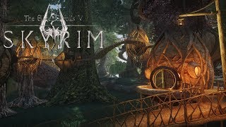 The Elder Scrolls Valenwood WIP  Skyrim New Lands Mod [upl. by Mureil]