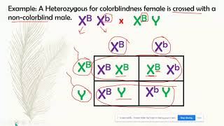 How to solve X chromosome linked genetics problems [upl. by Asital579]