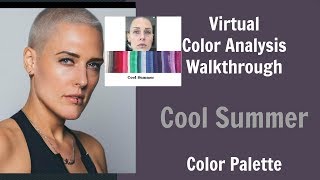 Cool Summer and Winter Color Palette Color Analysis  Cool Skin Undertone  What Colors Work For You [upl. by Ecinna]