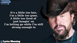 Toby Keith  A Little Too Late  Lyrics Meaning [upl. by Ayik176]