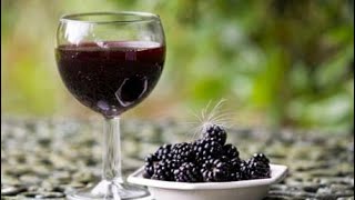 Blackberry Wine Recipe  Part One My First Attempt  What Could Go Wrong [upl. by Oirelav]