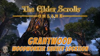 ESO Woodworker Survey Location  Grahtwood [upl. by Hiltner855]