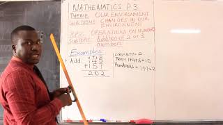 Mathematics Primary Three [upl. by Enuahs]