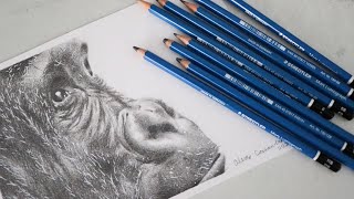 STAEDTLER LUMOGRAPH GRAPHITE PENCILS  First ImpressionsReview [upl. by Paehpos709]