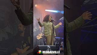 Etana  Reggae Jam 2024 [upl. by Ellerrehs]