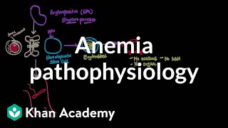 Anemia pathophysiology  Hematologic System Diseases  NCLEXRN  Khan Academy [upl. by Ursi]