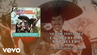 Vicente Fernández  La Muerte de un Gallero Cover Audio [upl. by Labors587]