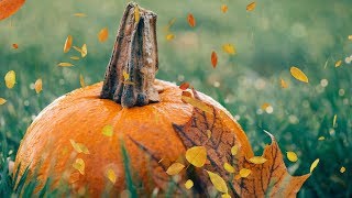 Peaceful music Relaxing music Instrumental music Autumn Nature quotHarvest Moonquot Tim Janis [upl. by Yacov]