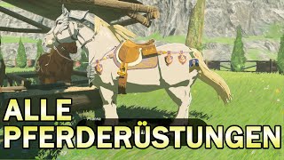 Alle Pferderüstungen in GANZ BotW  Sattel und Zaumzeug finden [upl. by Alissa]