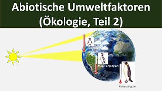 Abiotische Umweltfaktoren Überblick  Temperatur Wasser Licht etc Biologie Ökologie 210 [upl. by Upton]