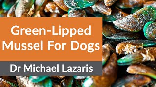 GreenLipped Mussel For Dogs [upl. by Airdua]