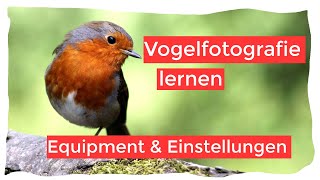 Ausrüstung und Einstellungen  Vogelfotografie lernen Folge 1 [upl. by Mcevoy]