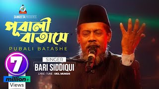 Pubali Batashe  Bari Siddiqui  পূবালী বাতাসে  বারী সিদ্দিকী  Music Video [upl. by Nnaecarg]