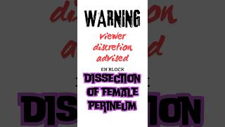 Dissection of female perineum en block dissection of perineum shorts female perineum anatomy [upl. by Agnot906]