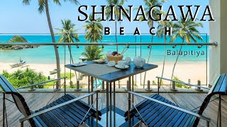 SHINAGAWA BEACH HOTEL covered by Ceylon Offers  Balapitiya  BEACH HOTEL [upl. by Hashum]