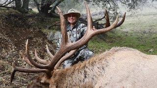 GIANT TEJON RANCH BULL quotTHE BEASTquot [upl. by Suivatra491]