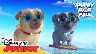 Surfs Up Pups  Puppy Dog Pals  Official Disney Channel Africa [upl. by Spiros]