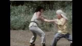 Secret of shaolin kung fu  Final fight scene [upl. by Aicemak]