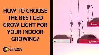 How to choose the best LED grow light for my indoor growing  FAQ [upl. by Adiaroz967]