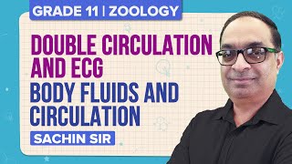 Body Fluids and Circulation Class 11 Biology Chapter 18  Double Circulation amp ECG  NEET Exam Prep [upl. by Bunker468]