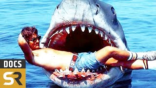 JAWS Clip  Night Swim 1975 Steven Spielberg [upl. by Suvart994]