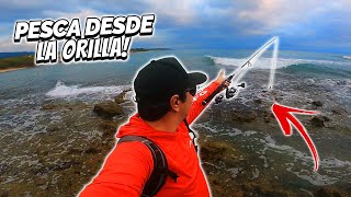 Pesca de ORILLA en Playa ROCOSA [upl. by Eyeleen]