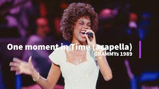 One Moment in Time live at The GRAMMYs 1989 acapella  Whitney Houston Acapella [upl. by Duval724]