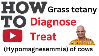 quotSolving the Cattle Disease Mystery Preventing Grass Tetanyquot [upl. by Ileyan]