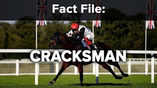 Fact File Cracksman [upl. by Fleur]