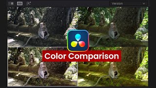 Davinci Resolve Color Comparison Versions Split Screen Groups Image Wipe [upl. by Llerrem]