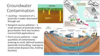 Environmental Concerns of Pesticide Use [upl. by Notsur]