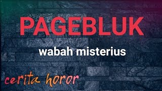 PAGEBLUK WABAH MISTERIUS ALUR CERITA HOROR [upl. by Eniledam]