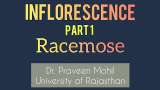 Inflorescence  Racemose  Part 1 By Dr Praveen Mohil  UOR [upl. by Hras]