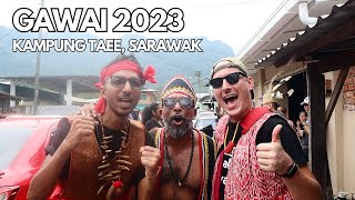 GAWAI 2023  Kampung Taee Sarawak [upl. by Sallie]