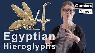 Learn how to read Ancient Egyptian Hieroglyphs with Ilona Regulski  Curators Corner S7 E11 [upl. by Murray]