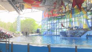 One Ocean at SeaWorld San Antonio  Full HD Show [upl. by Gusta45]