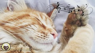 Cat Purring Sounds amp 528 Hz Healing Music  Stress Relief Relaxation Deep Sleep Music [upl. by Anneh773]