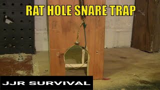 Rat Hole Snare Trap [upl. by Nylevol628]