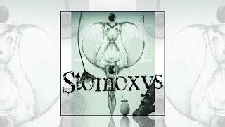 Stomoxys  Enjambre [upl. by Gilda]