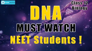 What is DNA for NEET students  Molecular Basis of Inheritance  Biology Class 12 [upl. by Ssew195]