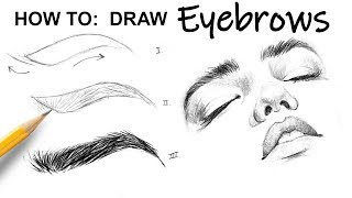 HOW TO DRAW Eyebrows [upl. by Mosora2]