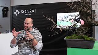 Collecting Yamadori Bonsai by Mauro Stemberger [upl. by Pejsach218]