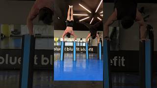 Handstand Training with Circus Artist 🇧🇷 [upl. by Hgeilhsa173]