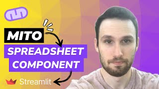 Introducing the Mito Streamlit component [upl. by Schaffel199]