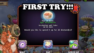 MSM HOW TO BREED EPIC STROMBONIN FIRST TRY [upl. by Evilo]