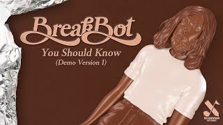 Breakbot Ruckazoid  You Should Know Demo Version I Official Audio [upl. by Matlick]