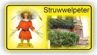 meinFrankfurt StruwwelpeterMuseum [upl. by Larrisa]