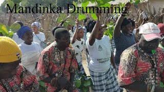 Mandinka traditional Drumming  🇬🇲 gambia tv gambiatvofficial West Africa traditional percussion [upl. by Uol]